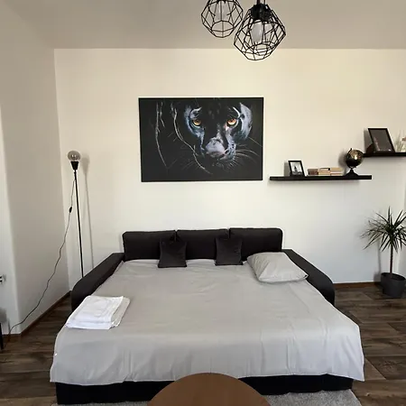 Apartment Apartman Pardubice