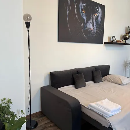 Apartment Apartman Pardubice *